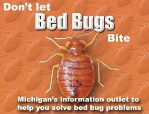 photo of bed bug Bed bug