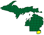 Region 1 - Saginaw County