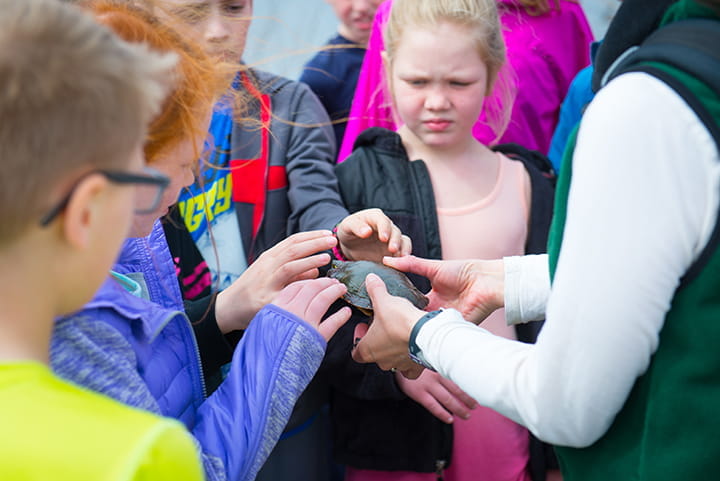 kids around a turtle being held by staff, a girl is skeptical