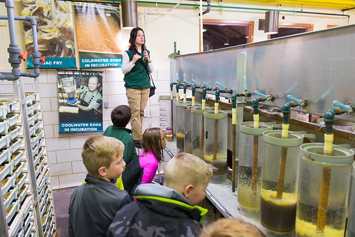 A group of school children tour the Wolf Lake hatchery