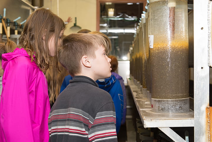 A boy in a hatchery looks with interest
