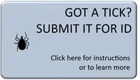 Got A TICK? SUBMIT IT FOR ID, Information on identifying and testing ticks
