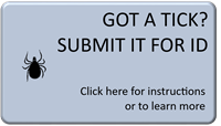 Got A TICK? SUBMIT IT FOR ID, Information on identifying and testing ticks