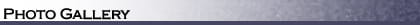 Photo Gallery Banner Grey