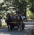 Grand Rapids Home for Veterans Fall Hayride