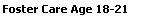 FosterCare1821