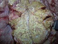 Tuberculosis lesions in the lungs of a two-year-old heifer
