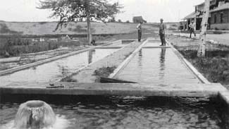 Photo of Marquette State Fish Hatchery raceways (1926)