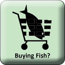 Button with fish in a shopping cart