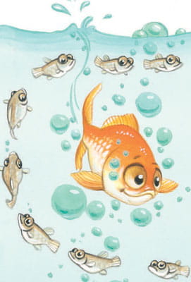Goldfish