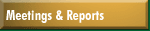 Meetings and Reports