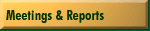 Meetings and Reports