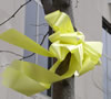 Yellow Ribbon