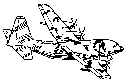 C-130 'Hercules'