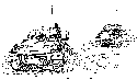 M-2 'Bradley' Armored Fighting Vehicle