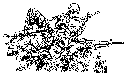 Soldiers in the grass 