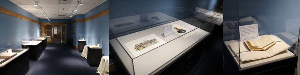 Rare Display Room collage of display cases