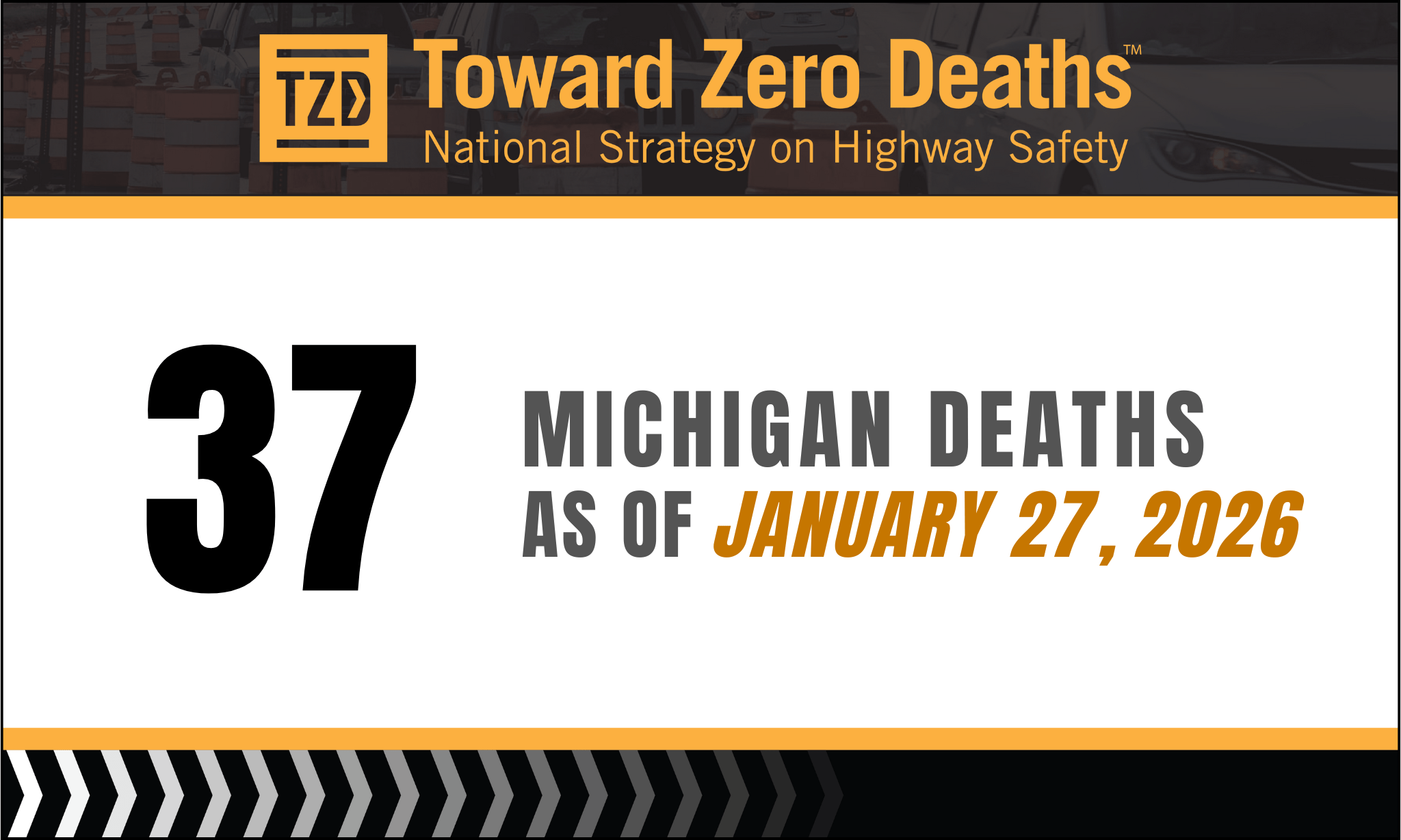 Graphic displaying Fatality numbers for TZD