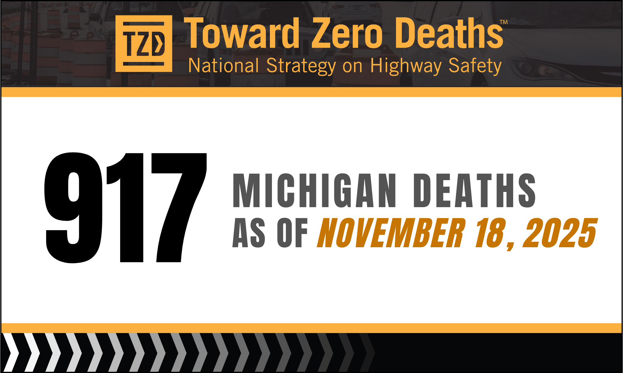 Graphic displaying Fatality numbers for TZD