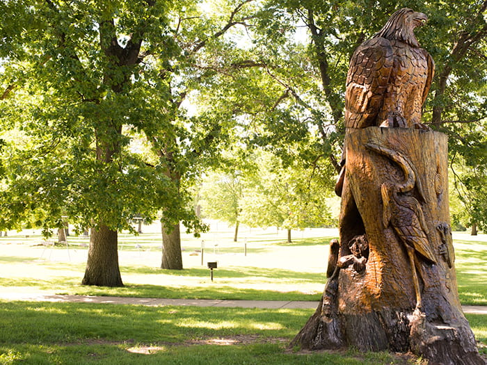 eagle wood carving in day use area