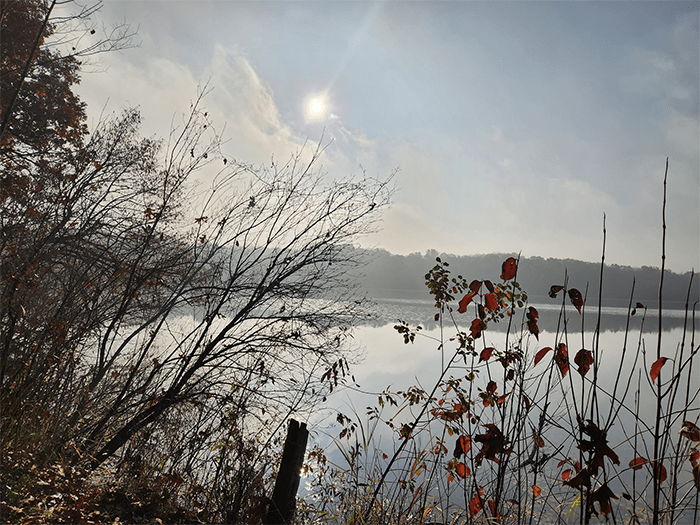 misty lake with foliage