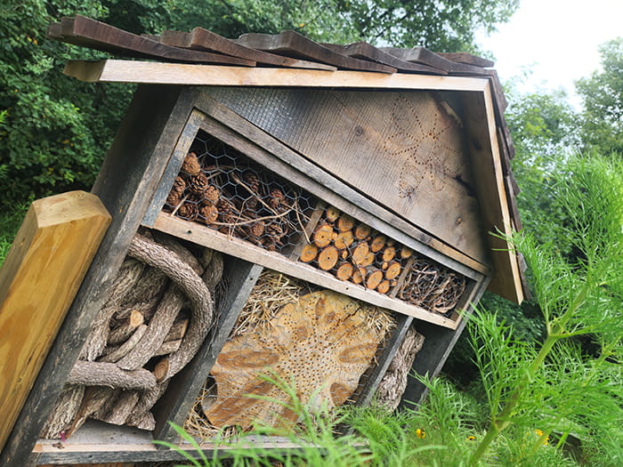 outdoor shelving with pinecones and wood on shelves