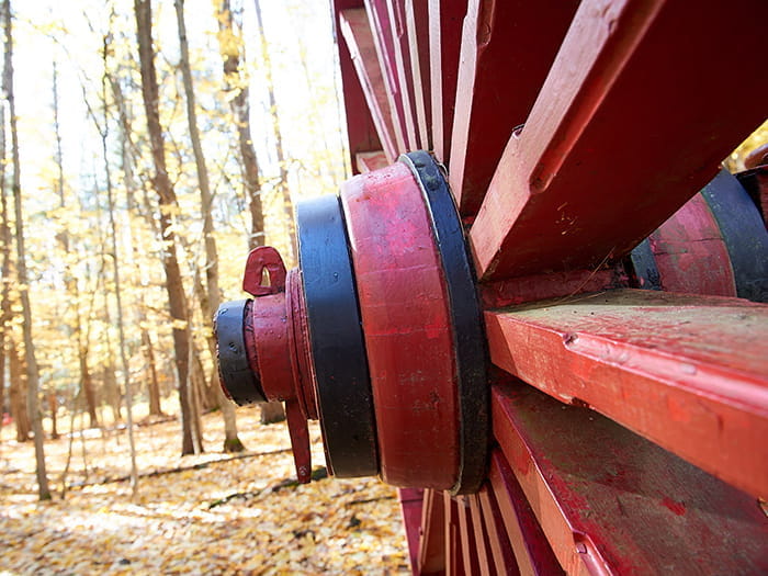 Hartwick Pines red wheel photo by Neumann