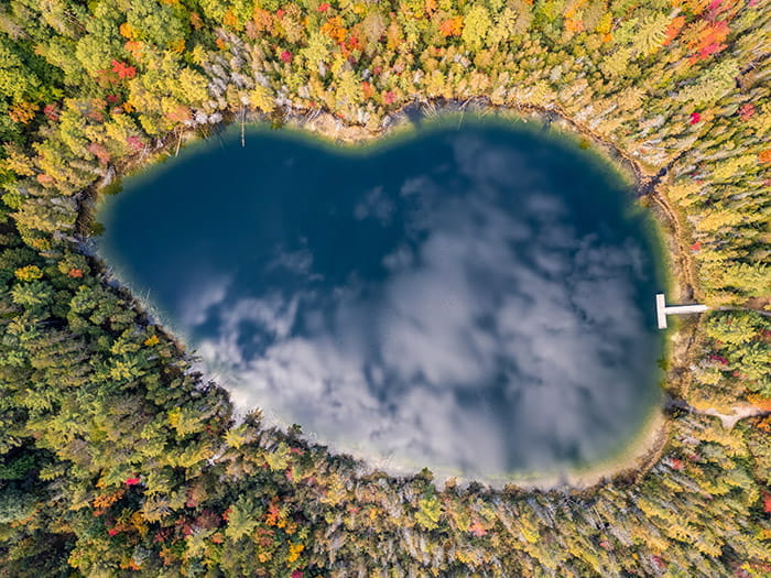 Aerial image of Bright Lake in Hartwick Pines Recreation Area
