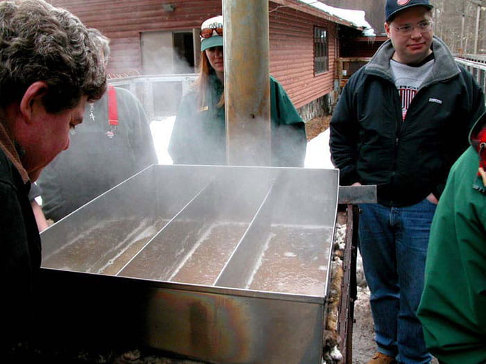 processing maple syrup