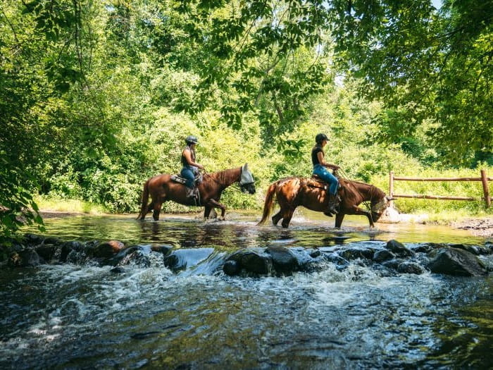 Horseback Riding Trails Waterloo watercrossing