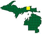 Region 1 - Luce County
