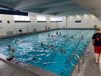 group of people swimming in a pool