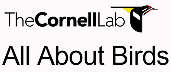 Cornell Lab of Ornithology Logo