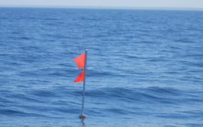 Actual double flag staff used at Harbor Beach 2015–2022.