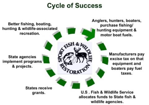 cycle of success image