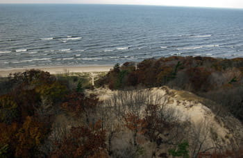 An aerial view of the Lake Michigan shoreline with the wooded dune in the foreground leading to the lake.