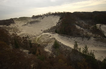 An aerial view of an expansive dune with areas of exposed sand and dense trees.
