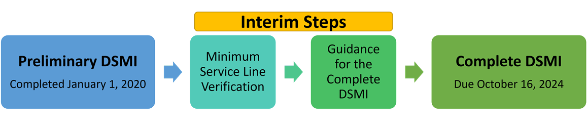 Interim DSMI Steps. Preliminary DSMI Completely January 1, 2020. Minimum Service Line Verification. Guidance for the Complete DSMI. Complete DSMI Due January 1, 2025.