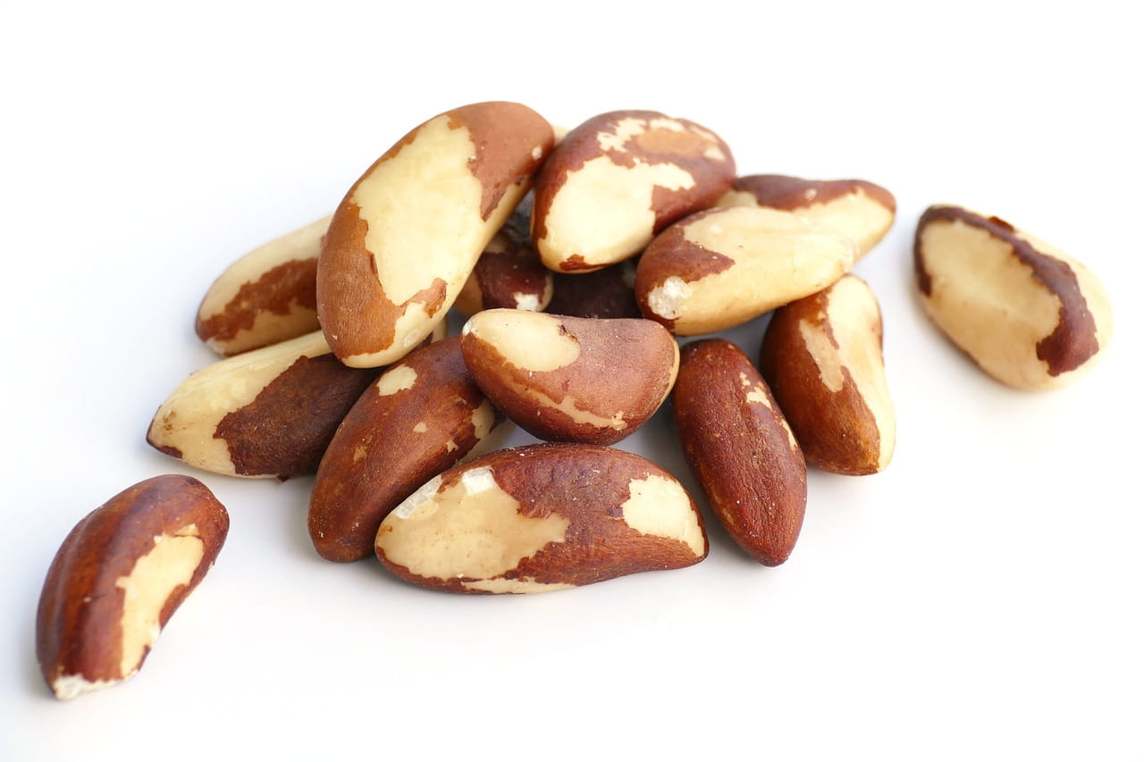 A small pile of oblong Brazil nuts