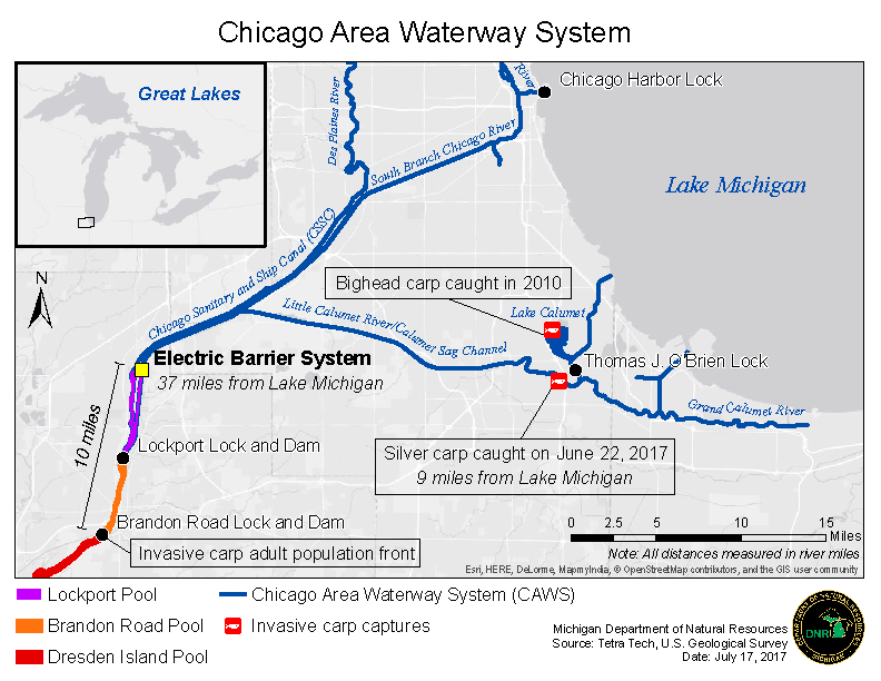 map of chicago area waterway system locating invasive carp captures