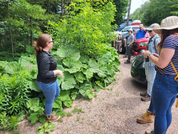 On the left, a woman stands by a parking lot near plants with large, round leaves. To the right, people stand near cars looking at the plants.