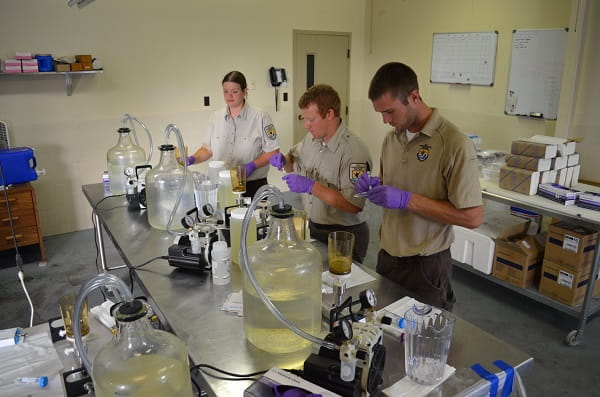 Three USFWS employees at a lab table filtering water samples.