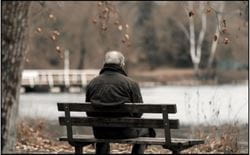 Elderly Man Sitting on a Bench