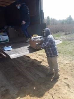 Agriculture Workers Unloading Food from Truck