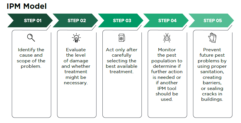 The steps that make up the integrated pest management model