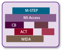 Summative Testing Schedule - Current Year