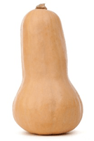 Image of a butternut squash