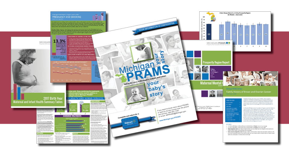 Michigan PRAMS Report Page Banner