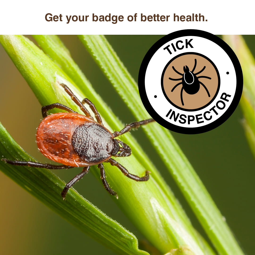 girl scratching at her upper arm and badge reading "tick inspector"