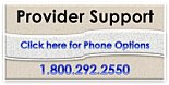 Provider Support Phone Options